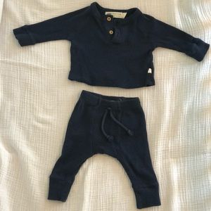 Monica + Andy 100% Organic